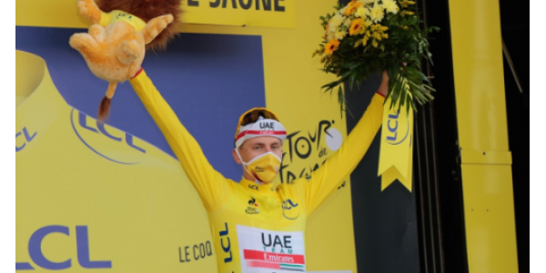 Pogachá vs Effenepur vs Benal